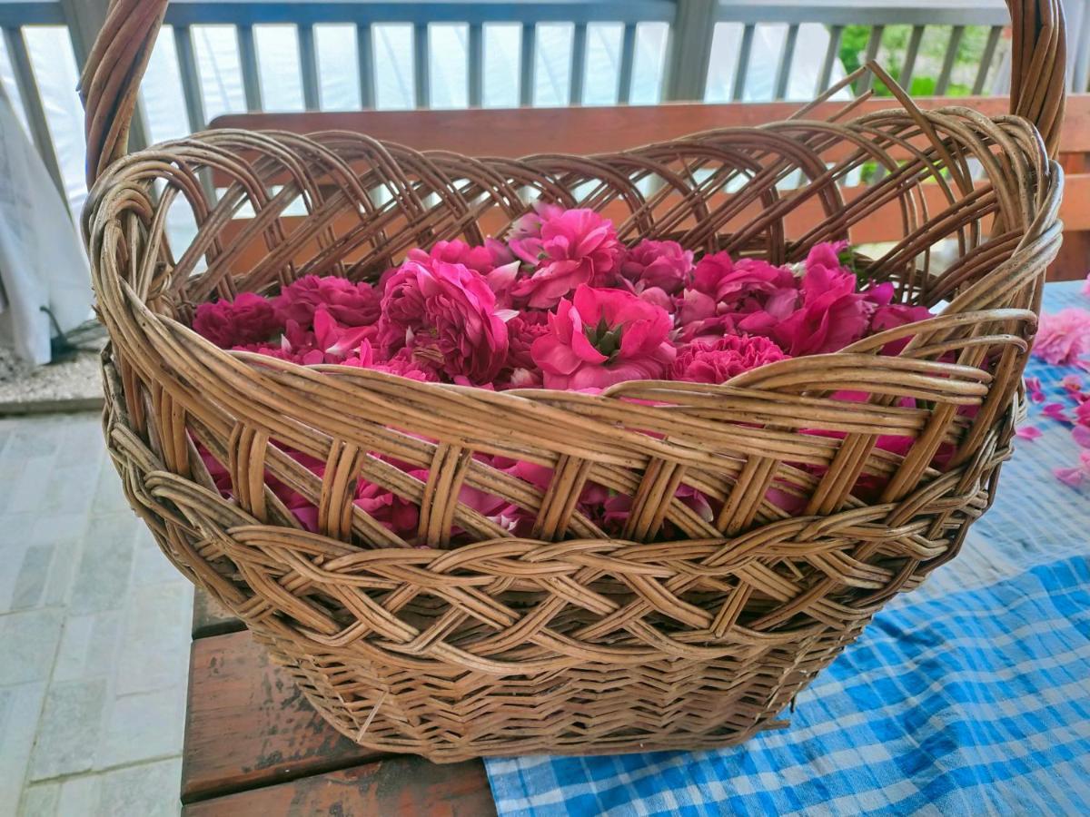مبيت وإفطار Bosentino Agritur Maso Flonkeri المظهر الخارجي الصورة